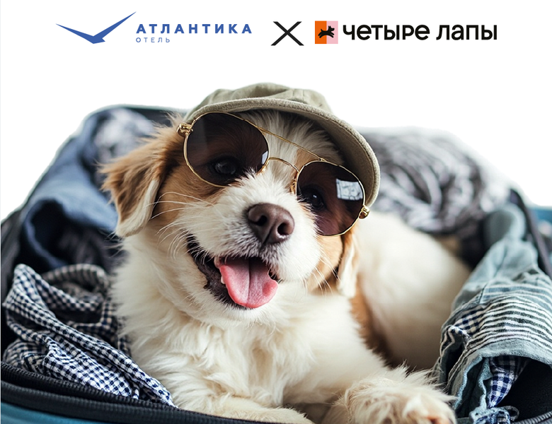 Dog Friendly совместно с "Четыре Лапы"