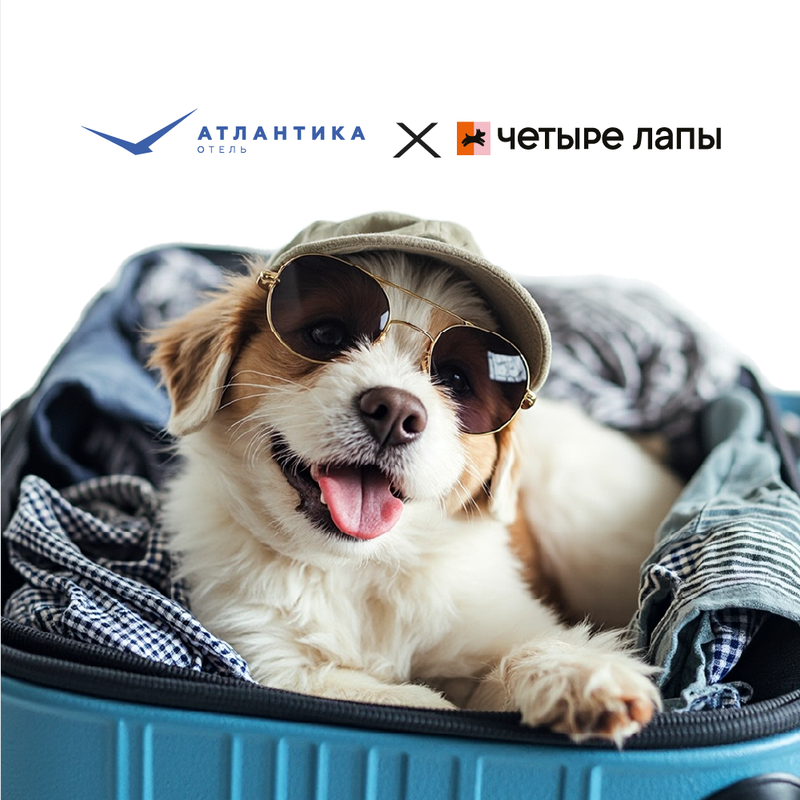 Dog Friendly совместно с "Четыре Лапы"